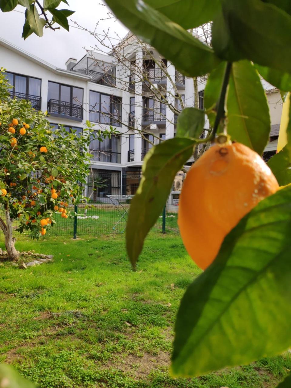 Gega Hotel Gagra Exterior foto